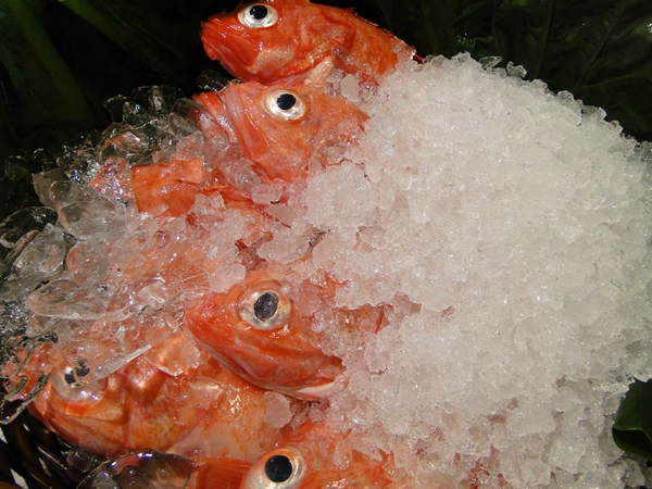 ���������ʱ�����������ջ�ִ���ҵ�����㡪�����Ѱ�