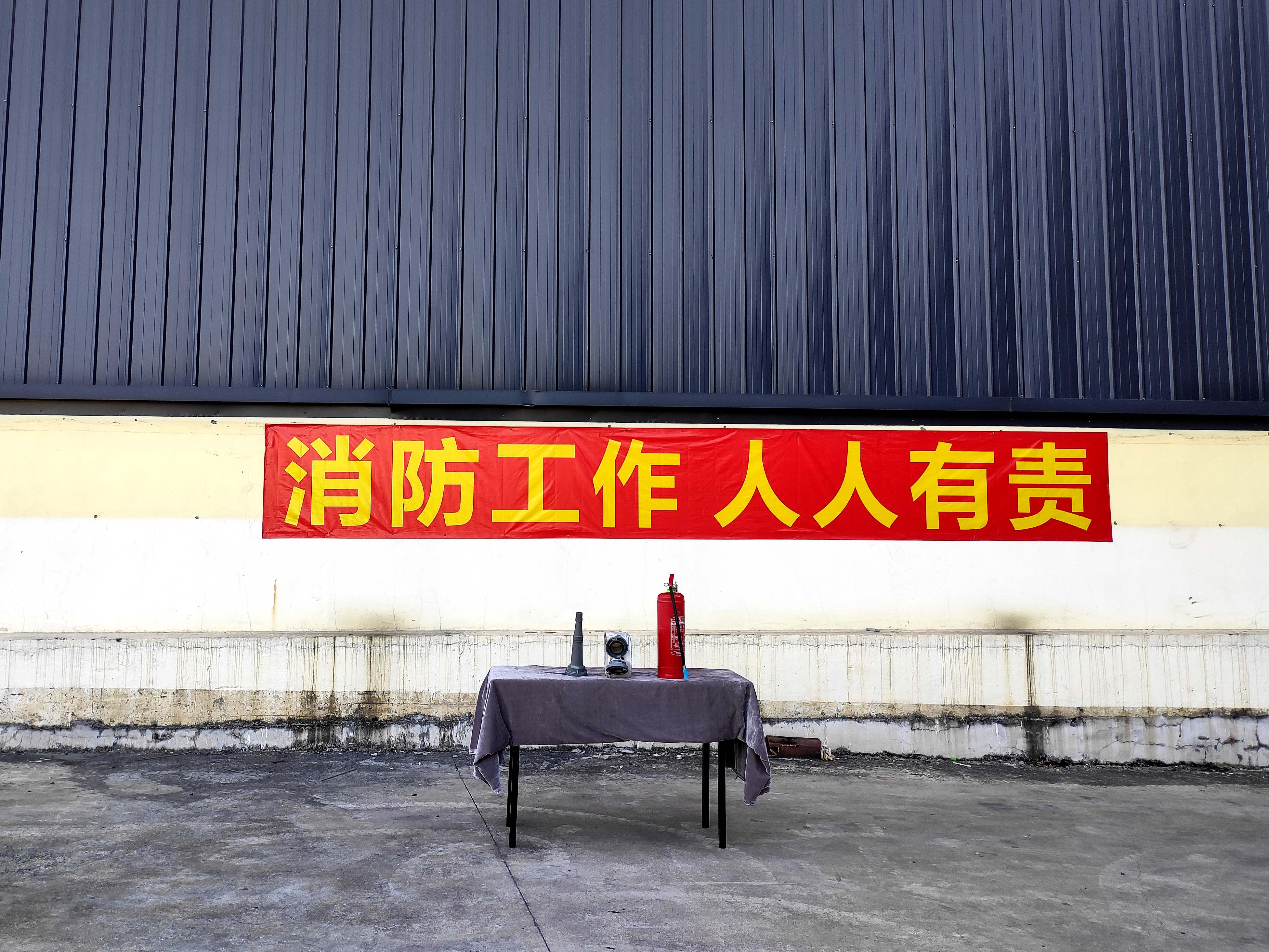 119��������������