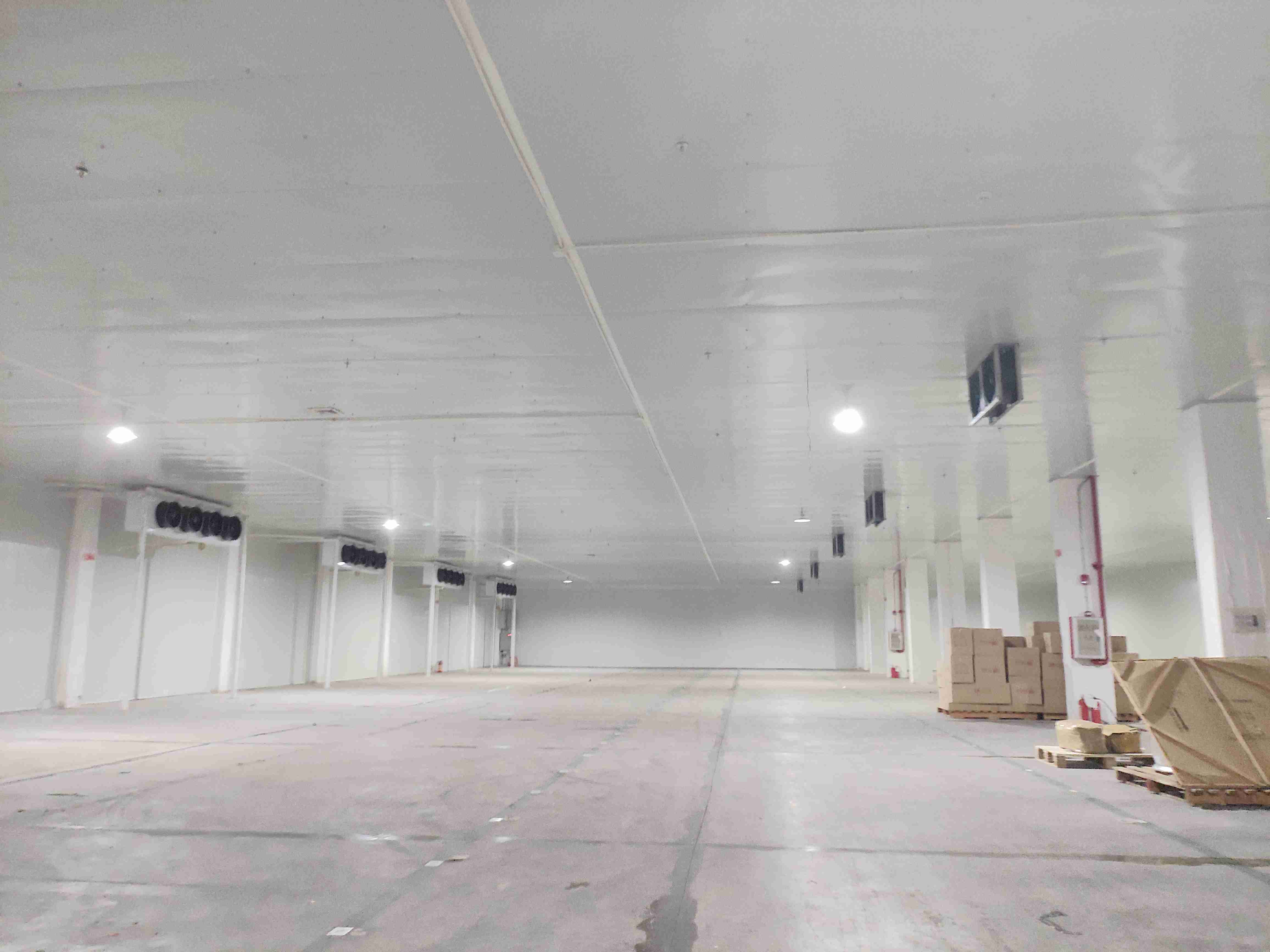 ���������й����������׷���������