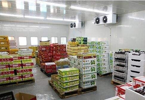 ʳפջҪעʲô