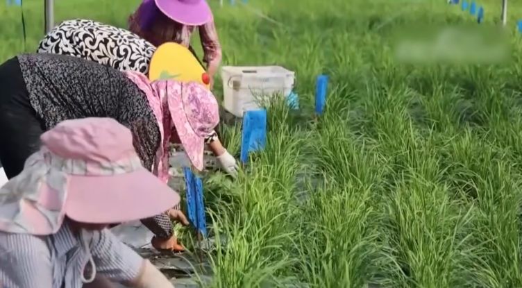 ũ��Ʒϲ��ר������-��ɽ������