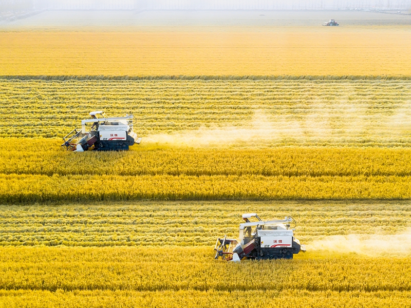 ���ĸ�ץ�֡���ʵ��ʳ�ִ�/��ɽʳ���ջ����