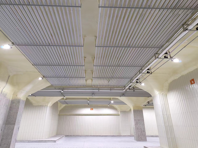 ��ɽ�����ִ�����Ϊʳ������