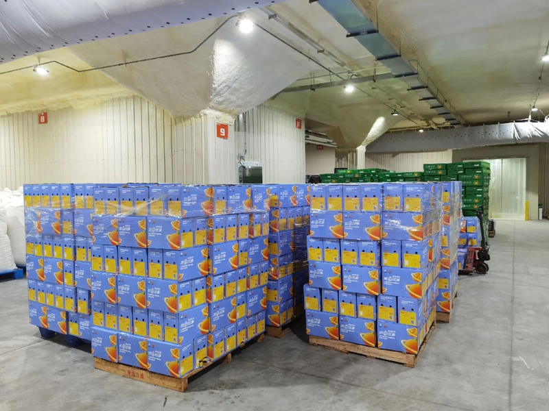 ��ɽ�̲�����������