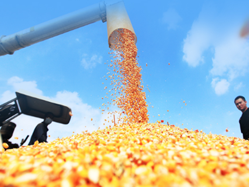 10�����ֿ�ǰ3���й�����