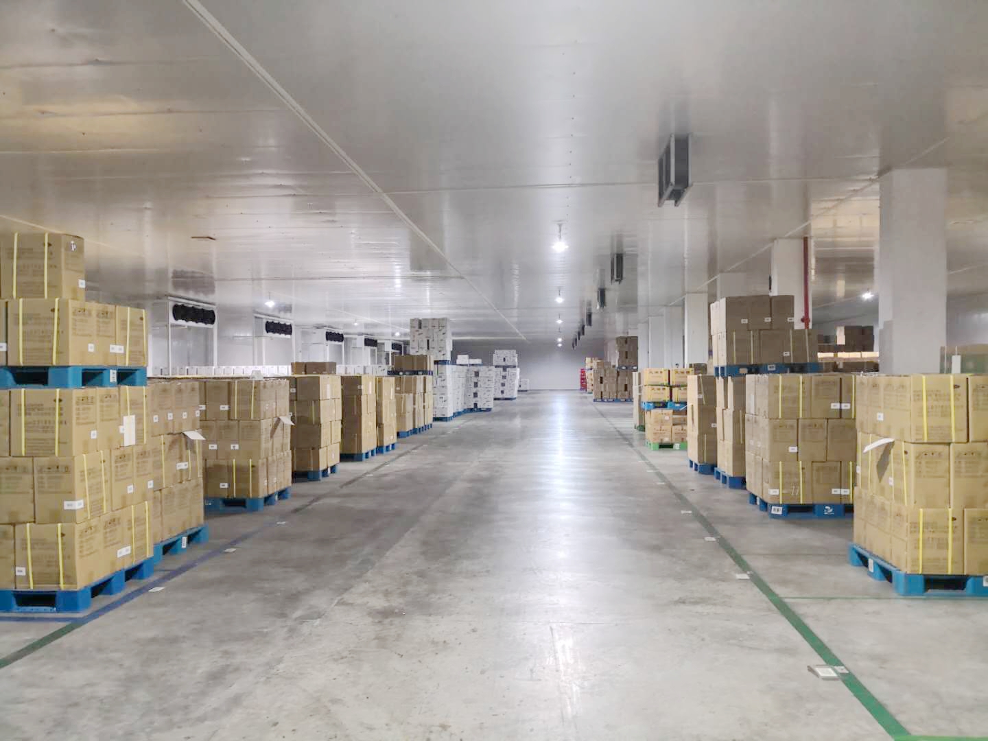 �й��ִ���ʢ��ҵԤ��2024��