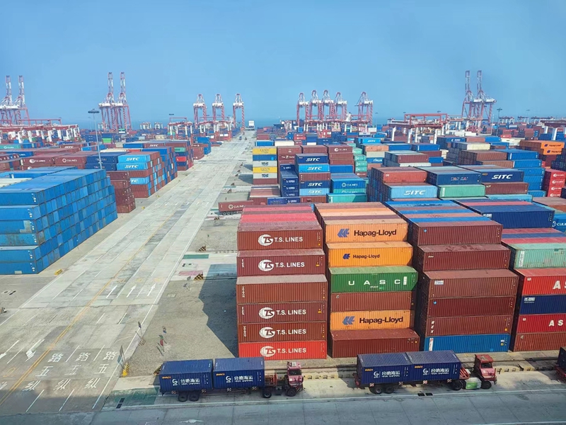 人生就是博·(中国区)官方网站z6物流到广州南沙国际物流学习交流