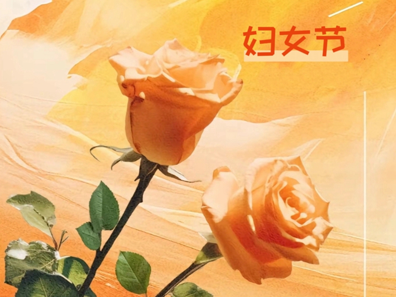 ǲ(й)ٷվz6ףŮŮڿ֣