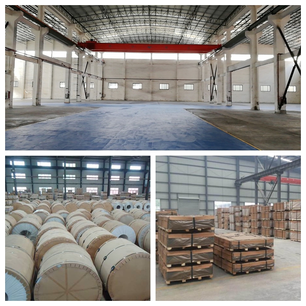 1552118768444645.jpg 1552118768444645.jpg