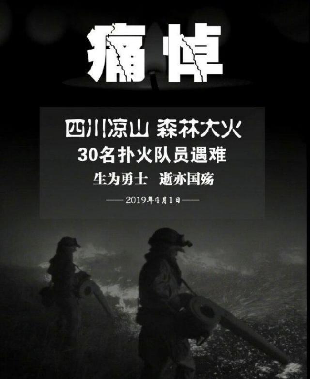 凉山扑火英雄 凉山扑火英雄