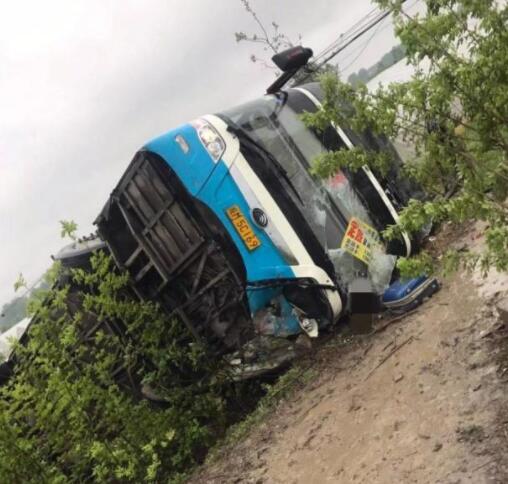 1554862651293843.jpg 7558dba7715357566c18aa2d29ad7636.jpg