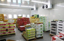 ʳÎï¿ÍÕ» ʳÎï¿ÍÕ»