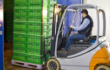 ·ðɽºì¾Æ²Ö´¢¹«Ë¾ ·ðɽºì¾Æ²Ö´¢¹«Ë¾