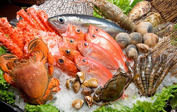 佛山生鲜电商仓储 佛山生鲜电商仓储