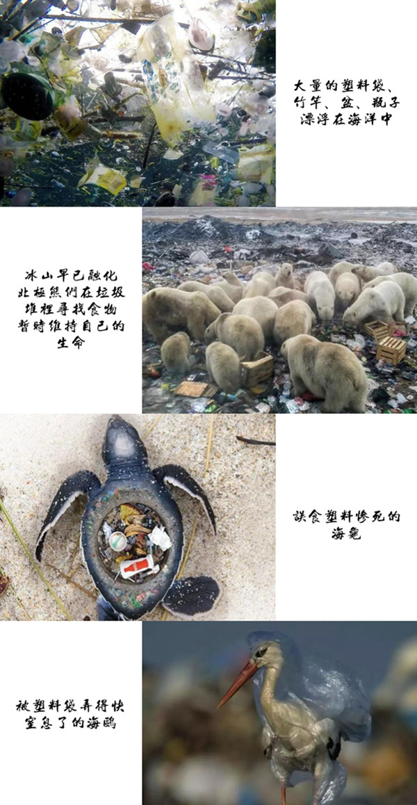 环保从我们做起.jpg 环保从我们做起.jpg