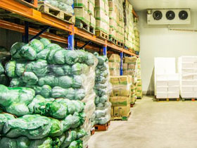 蔬果低温客栈 蔬果低温客栈