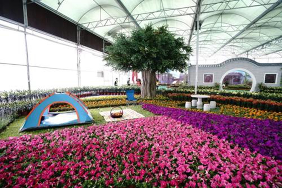 里水百合文化周 里水百合文化周