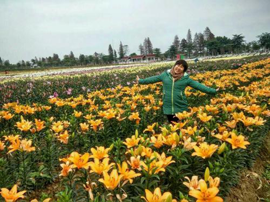 里水百合 里水百合