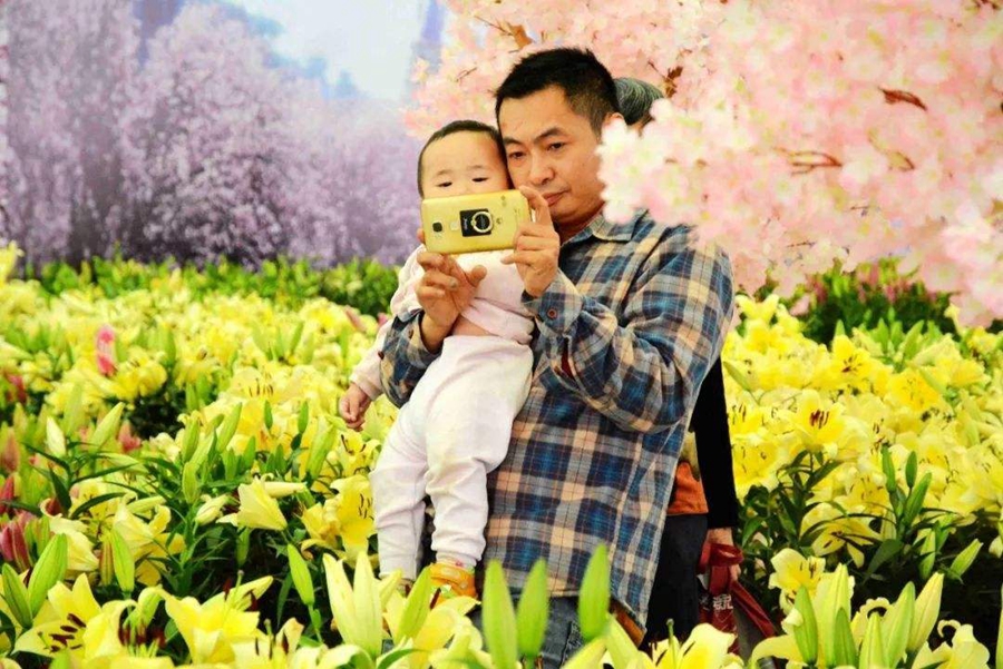 里水百合文化周 里水百合文化周