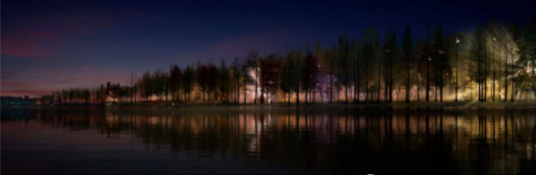 1600853292299061.png 1600853292299061.png