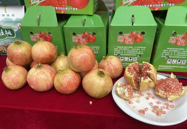 1605323274900999.jpg 1605323274900999.jpg