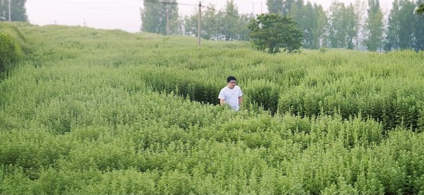 1605323292592611.jpg 1605323292592611.jpg