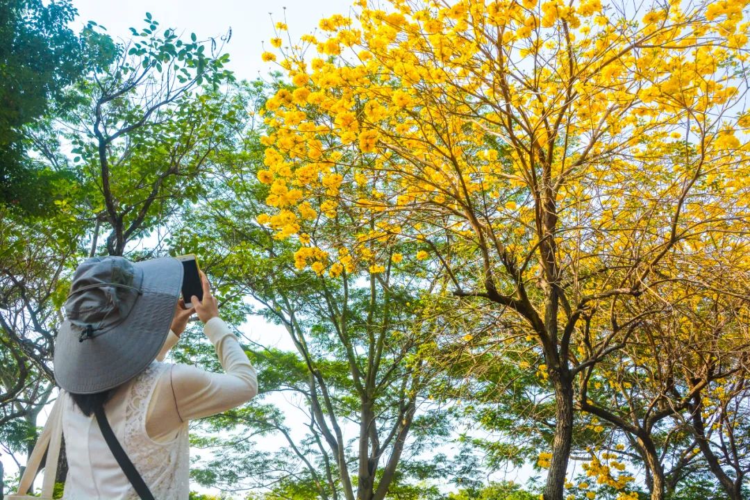 1614238254328706.jpg 1614238254328706.jpg