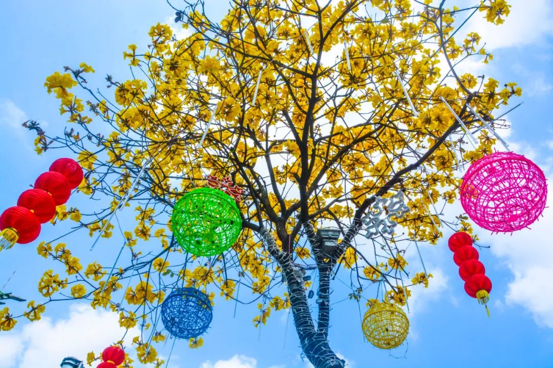 1614238396358521.jpg 1614238396358521.jpg