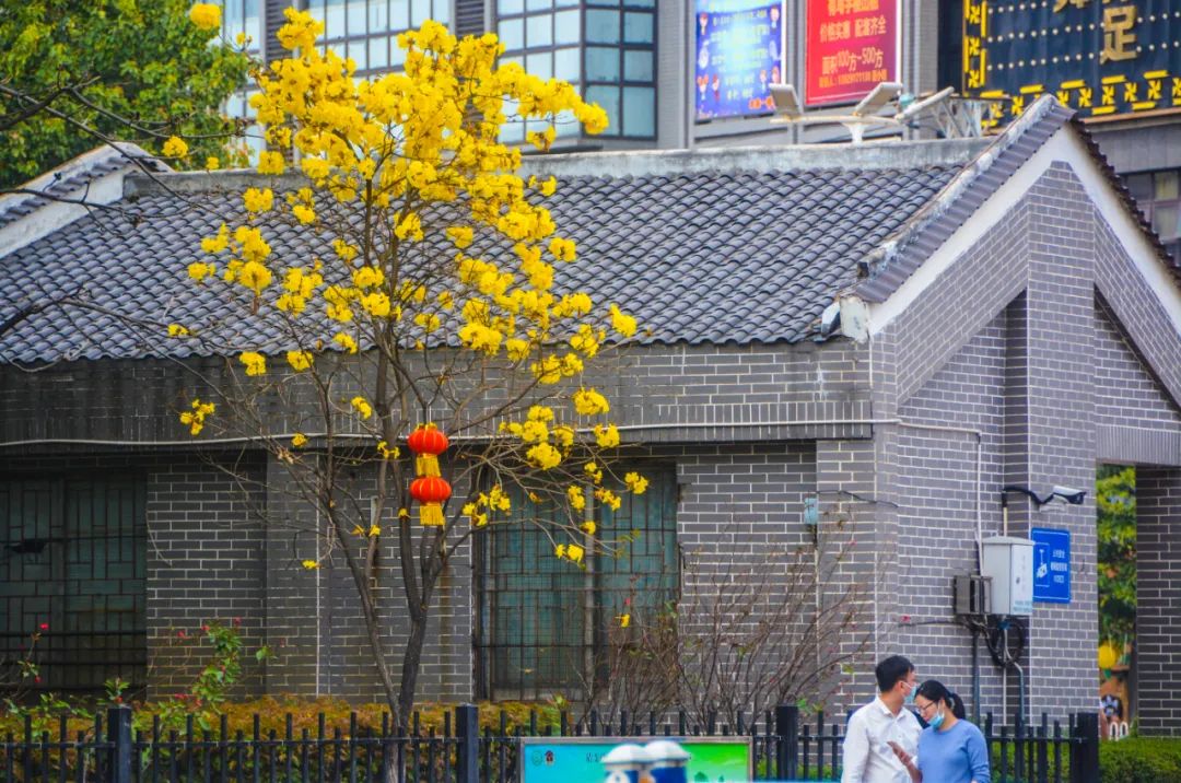 1614238418514992.jpg 1614238418514992.jpg