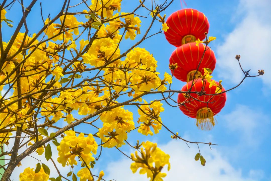 1614238494438288.jpg 1614238494438288.jpg