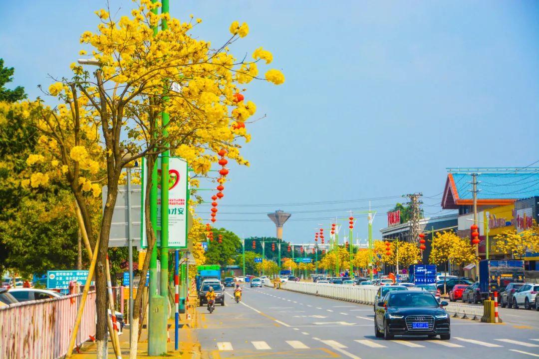 1614238515596492.jpg 1614238515596492.jpg