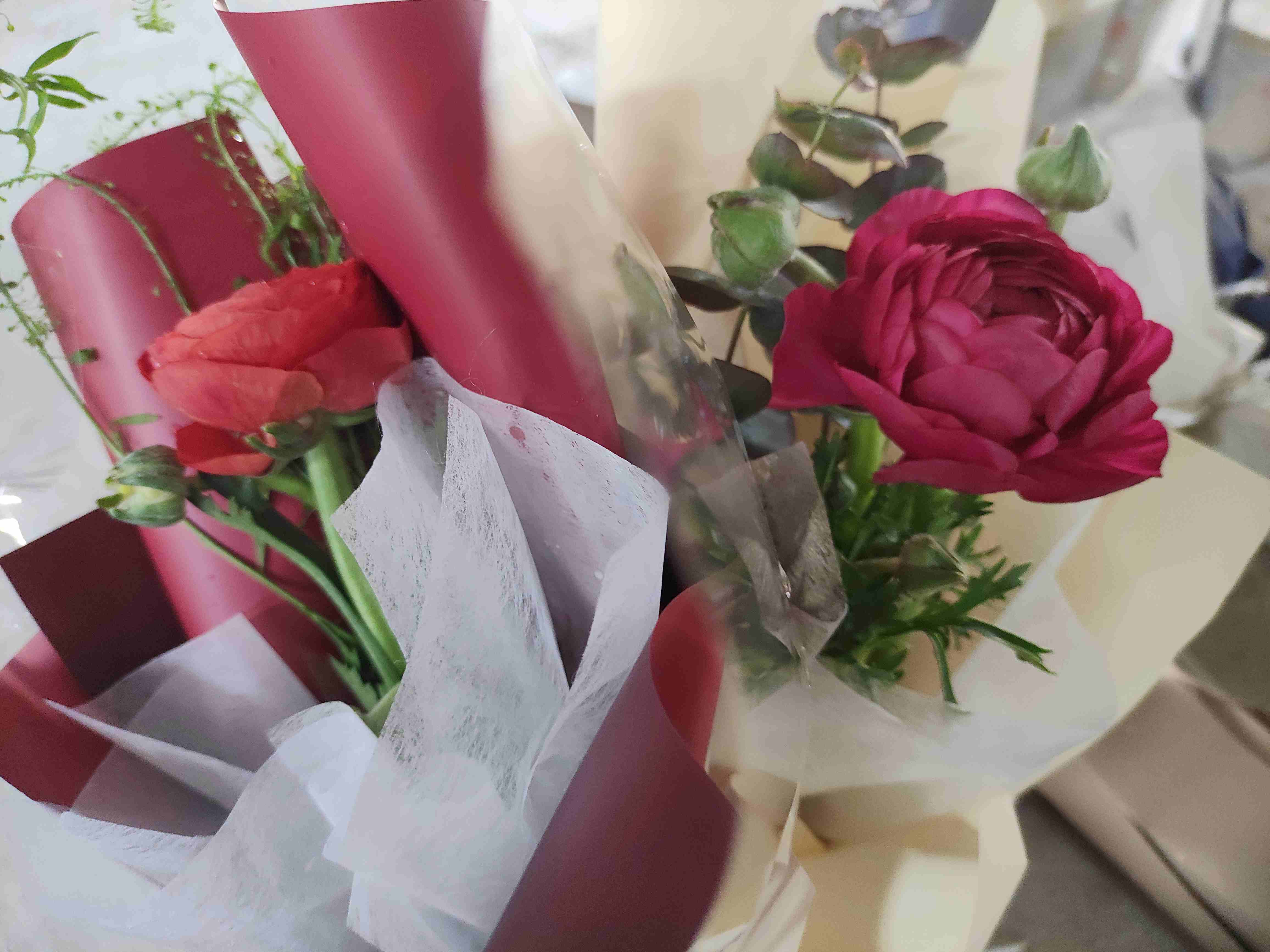 佛山客栈出租女神节鲜花 佛山客栈出租女神节鲜花