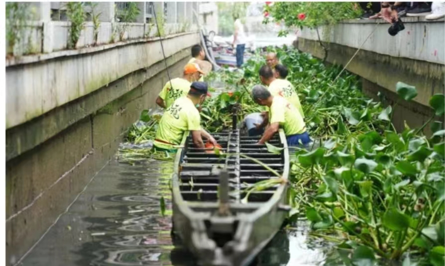 佛山盐步老龙 佛山盐步老龙