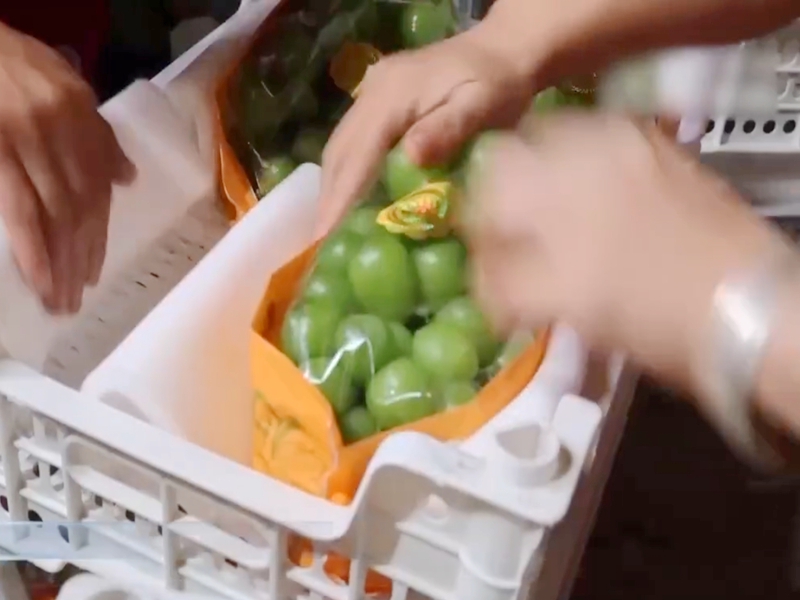 佛山葡萄冷库出租 佛山葡萄冷库出租