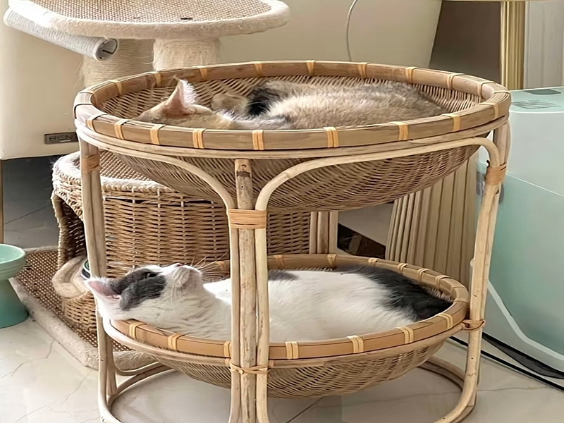 ³èÎïʳÎï¿ÍÕ»³ö×â ³èÎïʳÎï¿ÍÕ»³ö×â