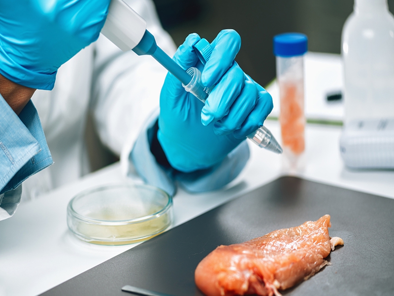 佛山客栈出租 佛山客栈出租