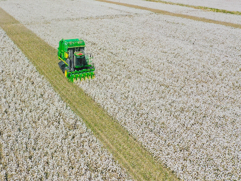 ÃÞ»¨Í¼Æ¬ ÃÞ»¨Í¼Æ¬