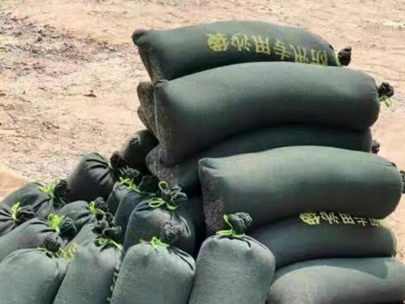 ·ÀѴɳ´ü ·ÀѴɳ´ü