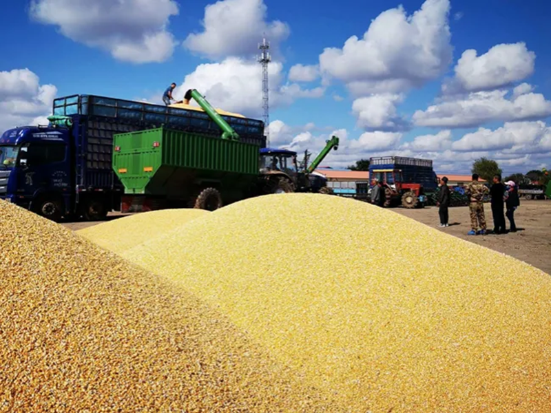佛山粮食仓储 佛山粮食仓储