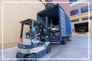 1699260725122083.jpg 3O2A6566.jpg