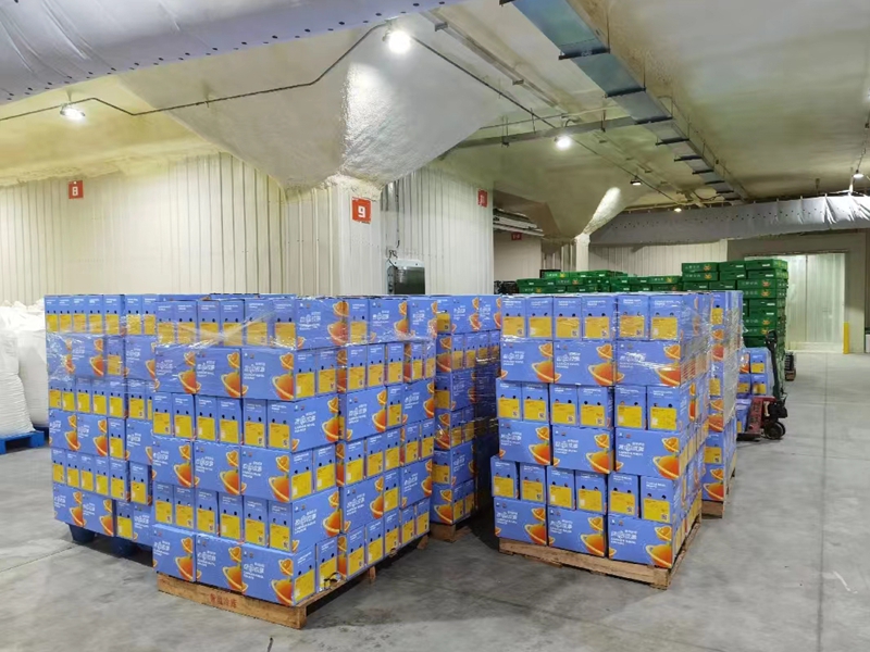 ·ðɽ¿ÍÕ»³ö×â ·ðɽ¿ÍÕ»³ö×â