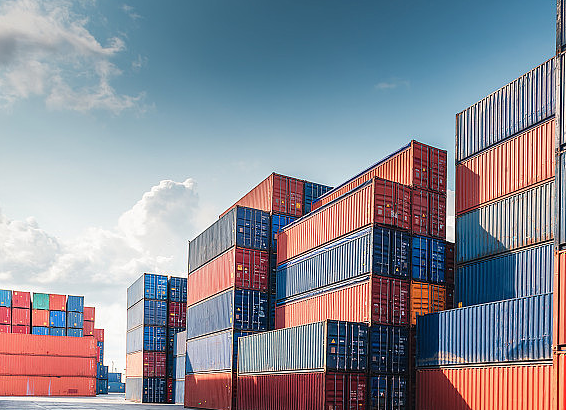 1704784957461199.jpg 1704784832010.jpg