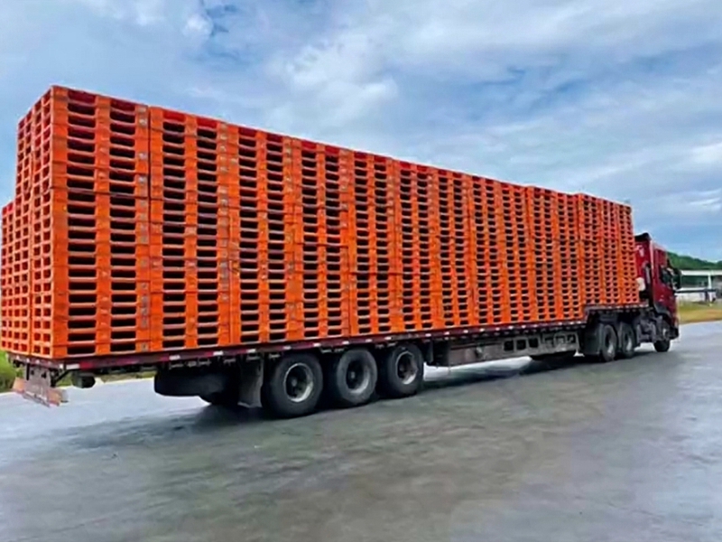 ·ðɽÍÐÅִ̲¢ ·ðɽÍÐÅִ̲¢