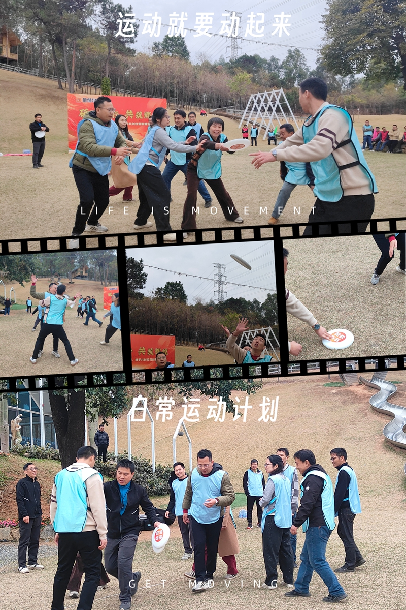 飞盘大战 飞盘大战